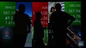 41,18% Saham Hassana Boga Sejahtera (NAYZ) Dicaplok Investor Singapura | Equityworld EWF Medan