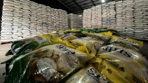 Bulog Bisa Pakai Kemasan SPHP Lama Imbas Krisis Plastik | Equityworld EWF Medan