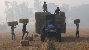 Ini 11 Negara Pemasok Bahan Pangan Terbesar di Dunia, Ada Indonesia! | Equityworld EWF Medan