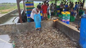Emiten Ini Ubah Haluan Bisnis dan Caplok Dua Perusahaan Singapura | Equityworld EWF Medan