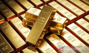 Fantastis! Emas Rp 45 Miliar Diselundupkan lewat Bandara Soekarno-Hatta | EQUITYWORLD SEMARANG | Equityworld EWF Medan