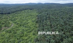 Implementasi Pasal 33 UUD 1945 Dorong Pemerataan Ekonomi | EQUITYWORLD SEMARANG | Equityworld EWF Medan