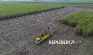Menkop Ajak Koperasi Tebu Rakyat Miliki Saham Pabrik Gula | EQUITYWORLD SEMARANG | Equityworld EWF Medan