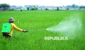 Pelemahan Rupiah Picu Lonjakan Harga Pupuk Nonsubsidi | EQUITYWORLD SEMARANG | Equityworld EWF Medan