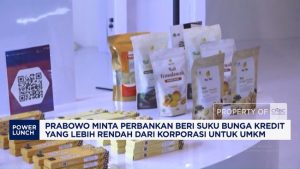 Prabowo ke Himbara:Bunga Kredit UMKM Harus Lebih Rendah dari Korporasi | Equityworld EWF Medan