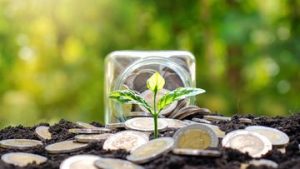 Strategi Pilih Reksa Dana dan Obligasi saat BI Rate Terus Naik | EQUITYWORLD SEMARANG | Equityworld EWF Medan
