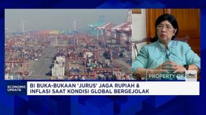 Video: Ekonomi Ditopang Sektor Domestik, BI Pastikan Rupiah Terjaga | Equityworld EWF Medan