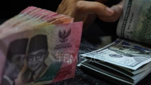 BI Kerahkan Segala Upaya untuk Stabilkan Rupiah | Equityworld EWF Medan