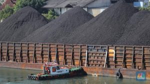 Harga Batu Bara Terbelah Dua Kasta, Ada yang Melonjak dan Tersungkur | Equityworld EWF Medan