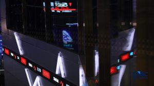 IHSG Sesi 1 Naik 1,7%, Nyaris Separuh Emiten di Zona Hijau | Equityworld EWF Medan