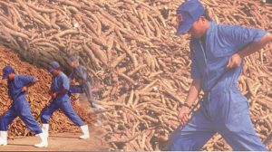 Diam-Diam Pengendali Emiten Ini Borong 204 Juta Saham di Harga Rp210 | Equityworld EWF Medan