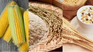 Susu, Beras – Babi, Ini 40 Komoditas Makanan Paling Bernilai di Dunia | Equityworld EWF Medan